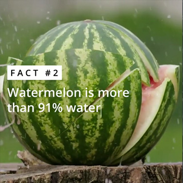 Watermelon | 20 Creative Instagram Accounts for Marketers