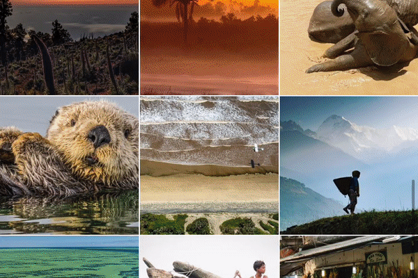 Scrolling GIF Nat Geo | 20 Creative Instagram Accounts for Marketers