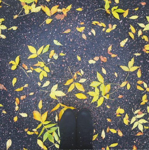 Leaves | Up Your Smartphone Photo Game