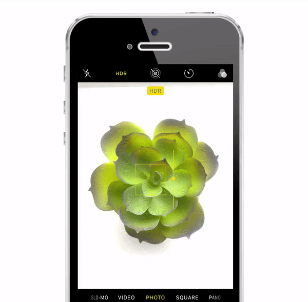 Succulent Screen Adjust | Up Your Smartphone Photo Game