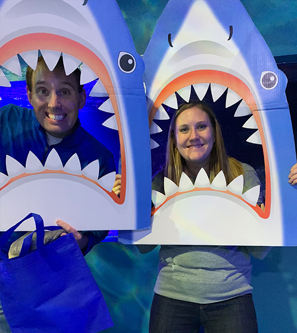 Shark Heads | Volunteer Blog