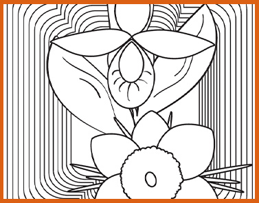 State Flower | Lawrence & Schiller Coloring Pages