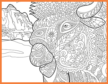 Buffalo | Lawrence & Schiller Coloring Pages