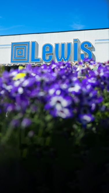Lewis | Lawn & Garden Work Sample