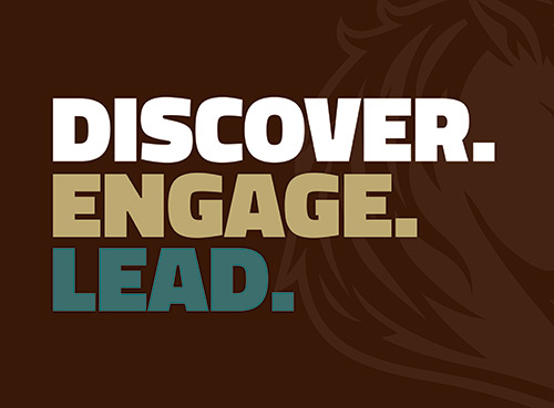 Rebrand | SMSU Work Sample