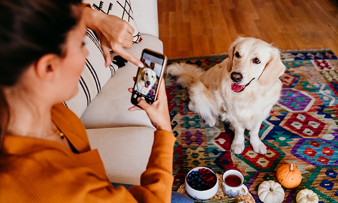 woman taking pic of dog | Creativity during COVID