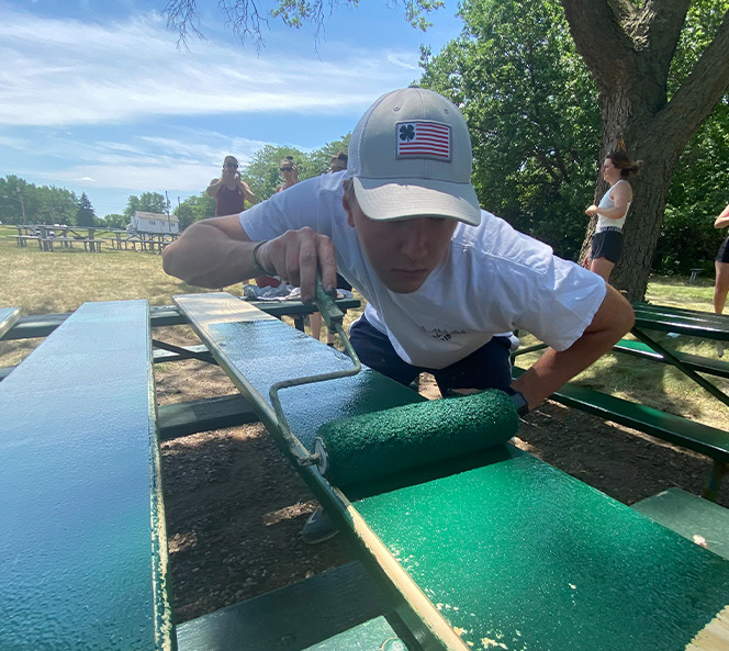 painting benches