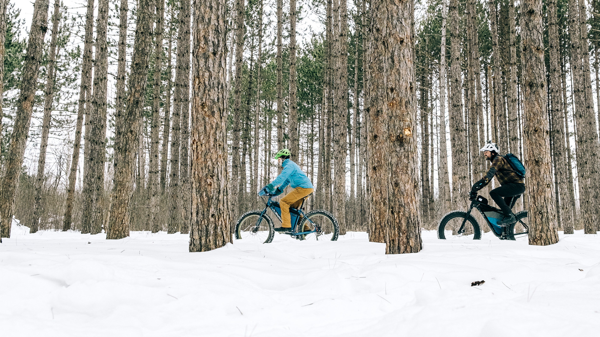 people biking in the winter through the trees