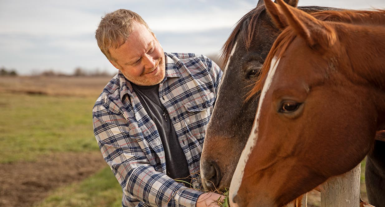 Man feeding two horses