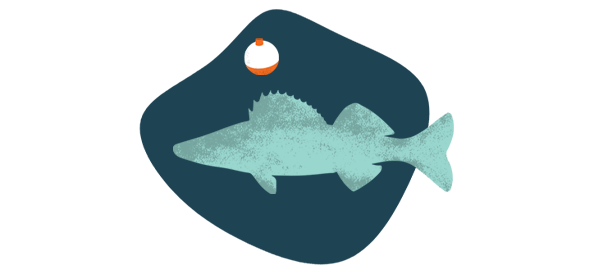 Fish illustration