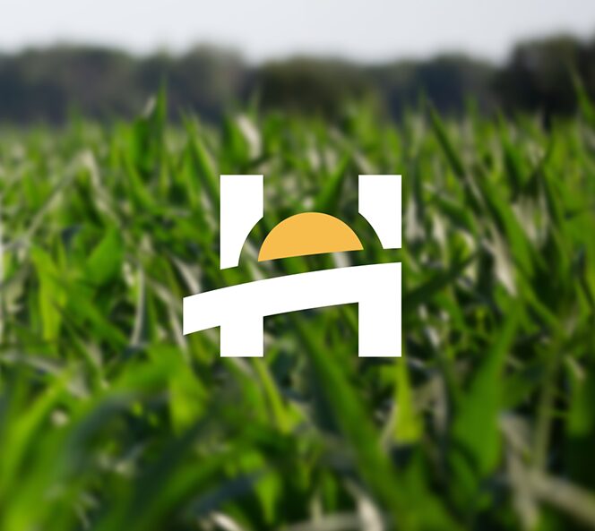 Horizon Health H icon